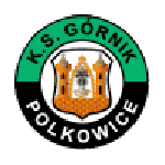 Górnik Polkowice