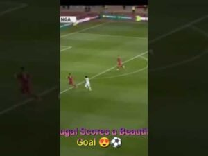 Portugal vs Nigeria – Stunning Goal 😱⚽ | Football Highlights
