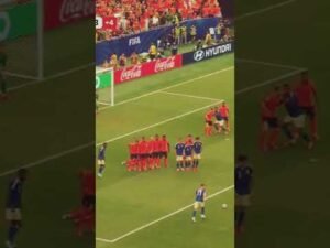 Netherlands Vs Sweden 5-1 football highlights