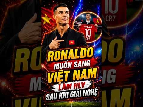 BÓNG ĐÁ VIỆT NAM ĐÃ BỎ XA NỀN BÓNG ĐÁ ĐÔNG NAM Á