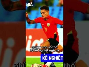 🔥Timor-Leste & Quá Khứ Thua 16 Trận Liên Tiếp|LửaBóngĐáViệt #bongda#AFF Cup#lưabongda