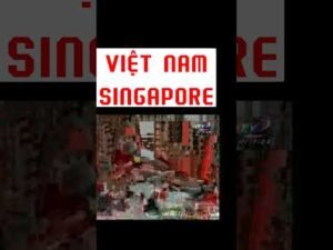 Highlight Việt Nam-Singapore:ASEAN CUP 2008(AFF CUP 2008) #affcup2008 #affcup2026